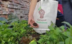 La magia vive en el arte de reconvertirnos